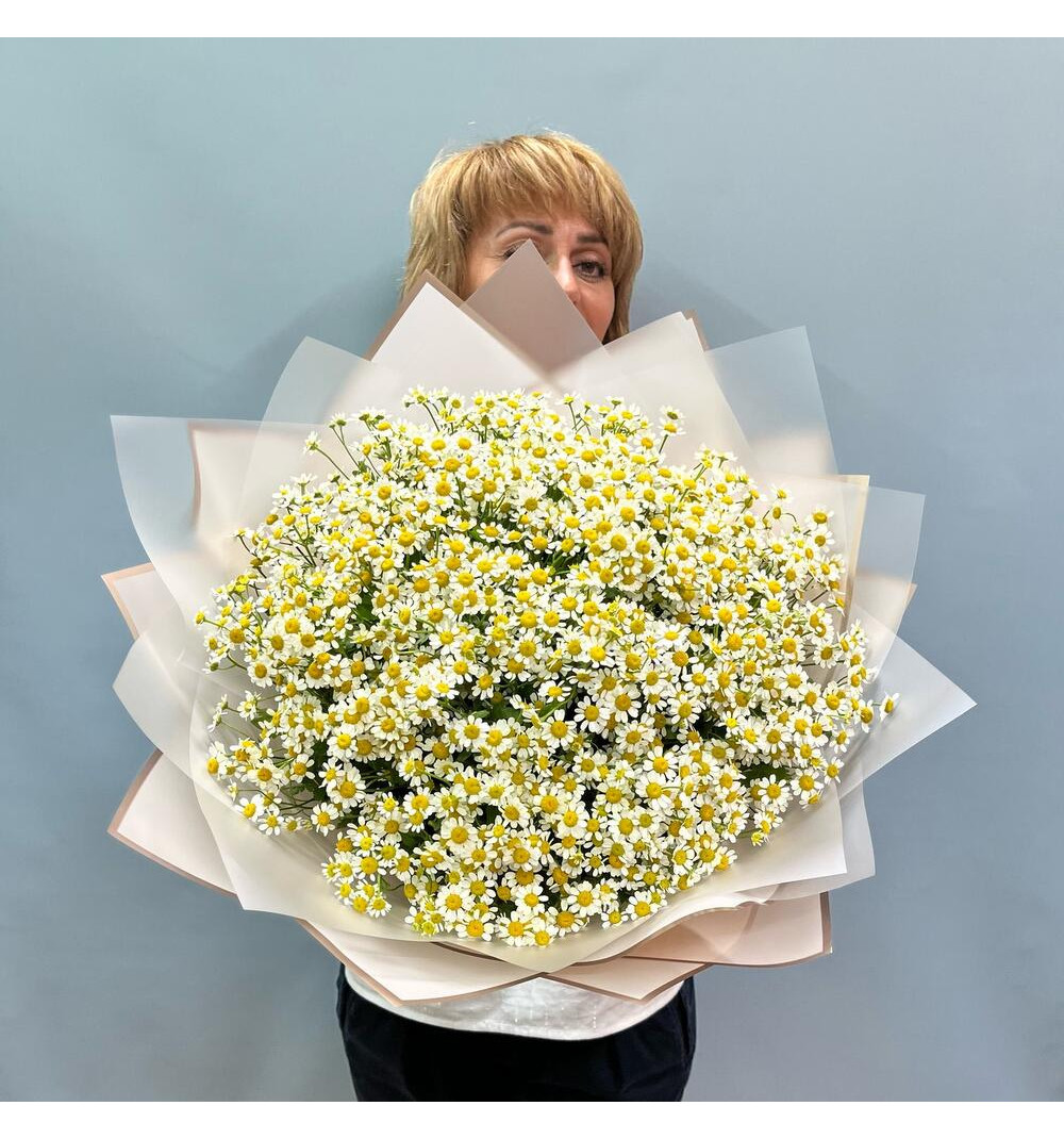 Ромашки букет 1