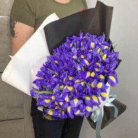 Синие ирисы